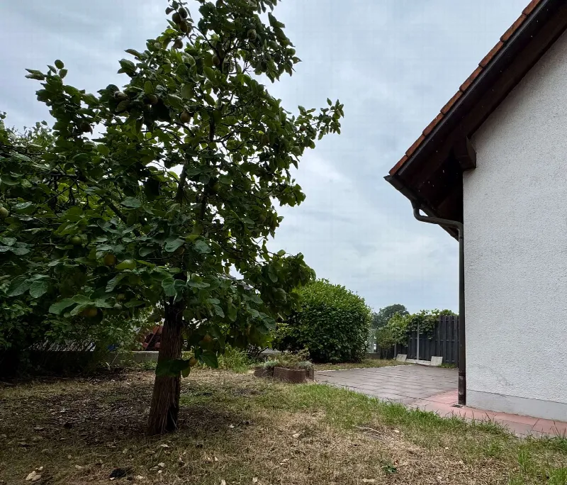 Garten 1 in Reichertshofen